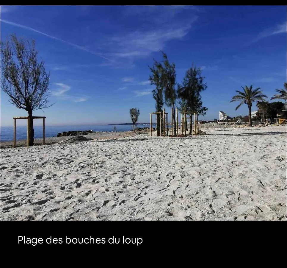 Loft Marina Direct Plage Apartment Villeneuve-Loubet France